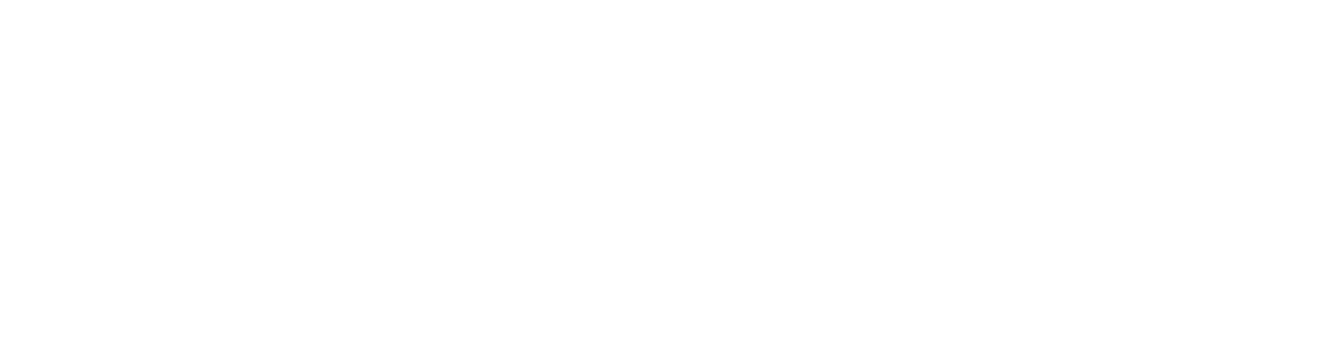 CONSULEGIS_WHITE_RGB (002)